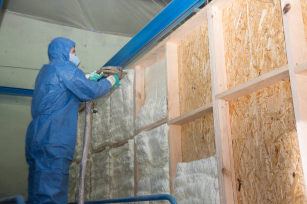 Insulation Inspection Services in Fairview, UT